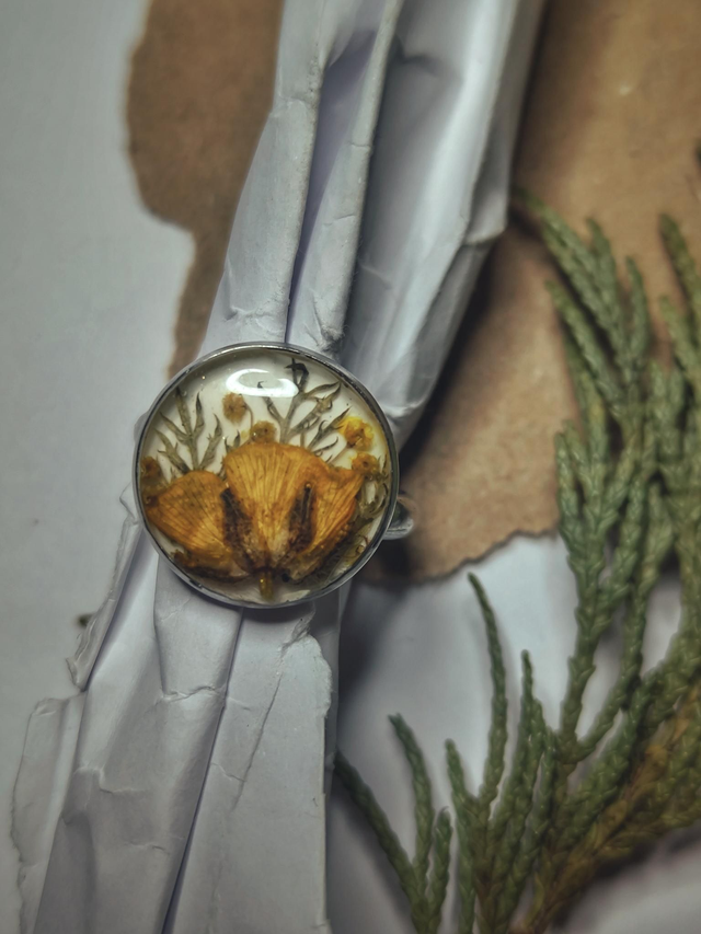 Preserved Floral Ring