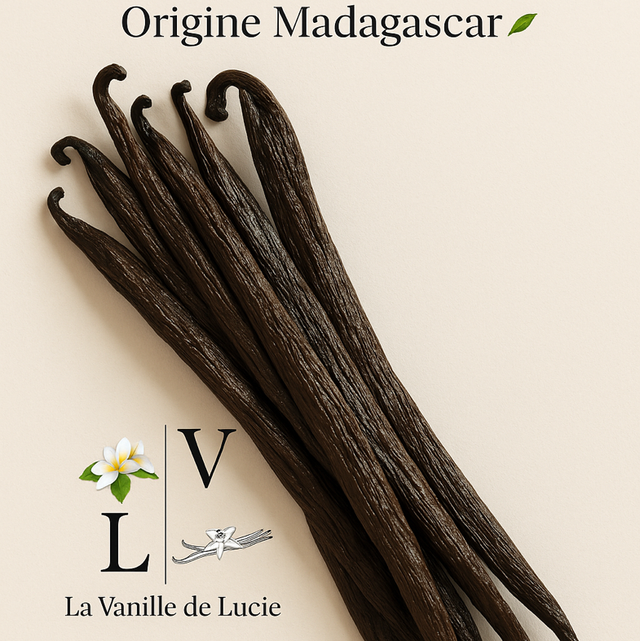 5 gousses de Vanille Tsy Taitry Hybride Madagascar