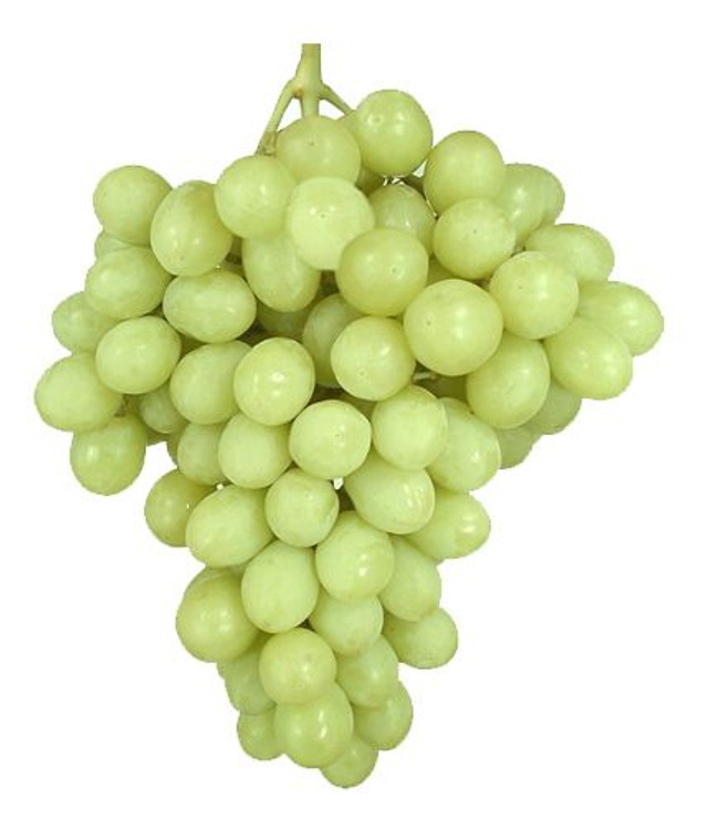  SEEDLESS GRAPES XL (1KG)