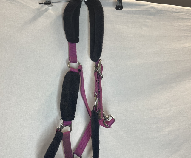 Licol cheval Horse Riding