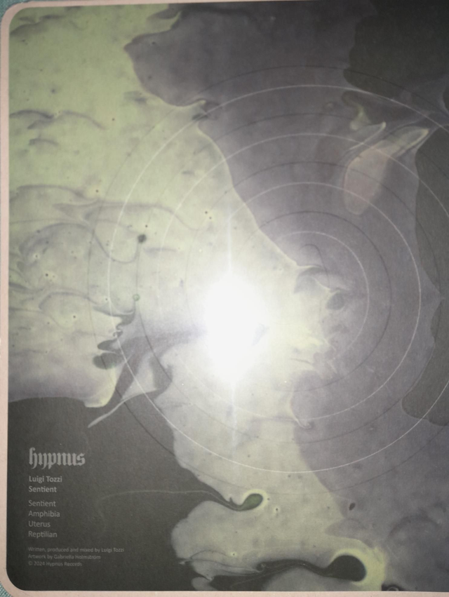 Luigi Tozzi Sentient - HYPNUS043 - 12"