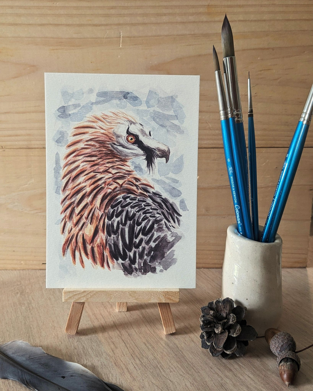 Le Gypaète barbu - carte A6