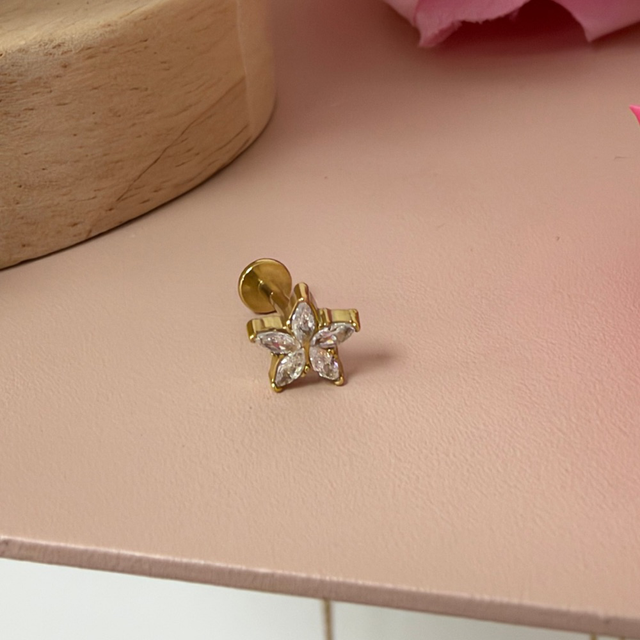 Piercing oreille Diane