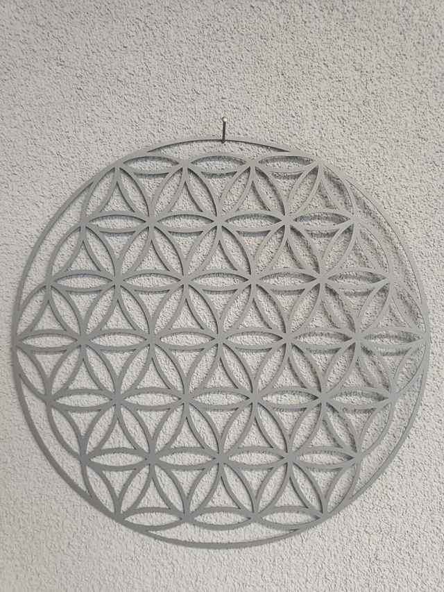 Wandhanger levensbloem