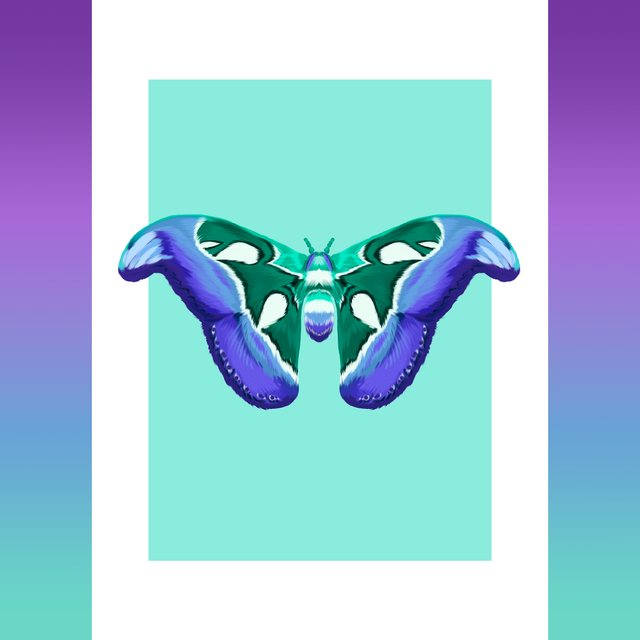 MOTH SERIES - Men Loving Men / Gay Print