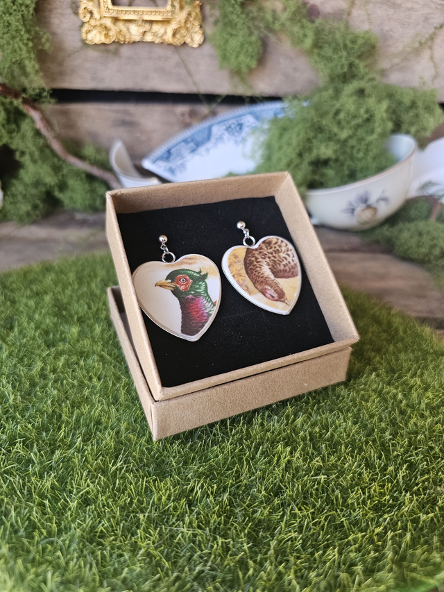 BO Coeurs Faisan Forever