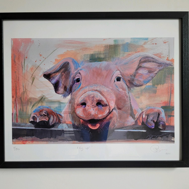 'Ey up' Yorkshire Pig- Limited Edition Art Print, 40 x50cm