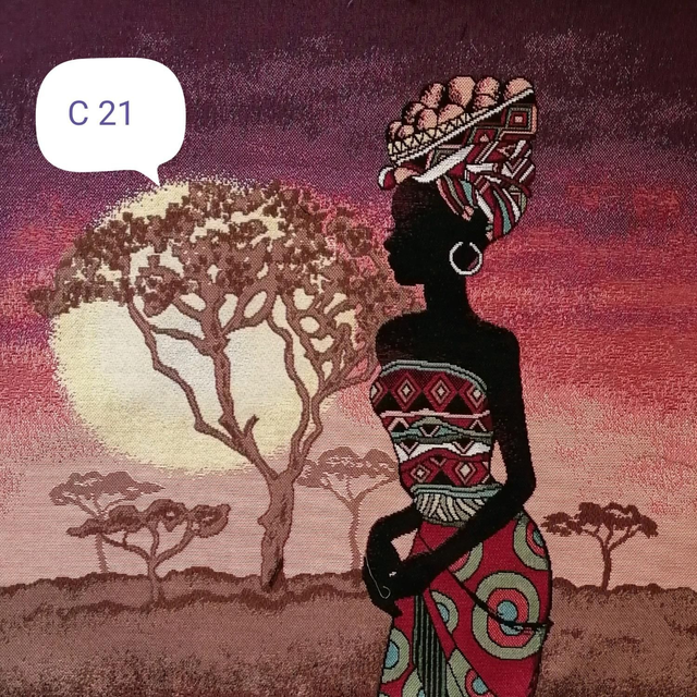 Housse coussin HC 21 