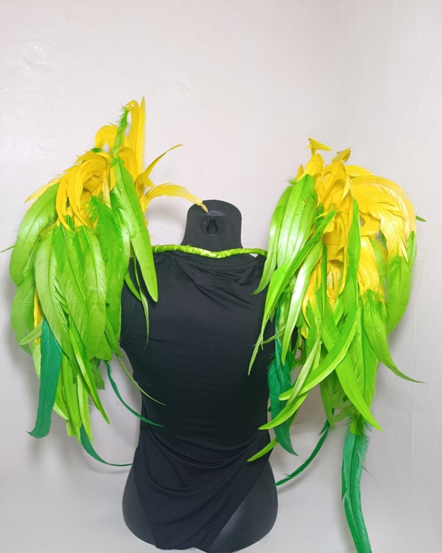 Costeiro Cleonina Brasil