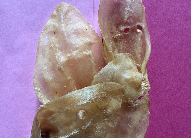 1 Lamb Ear