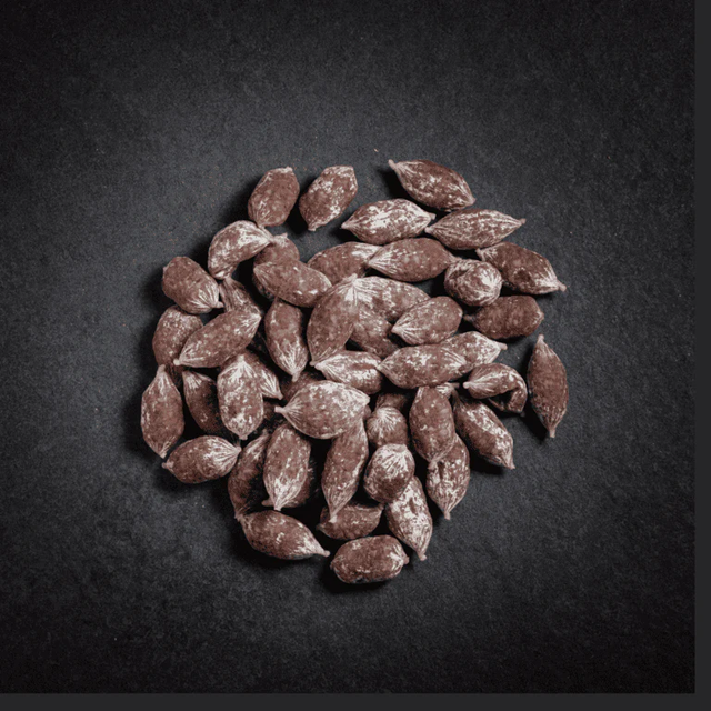 Grignottes nature pur porc