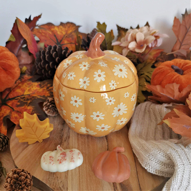 Brûle Parfum citrouille groovy