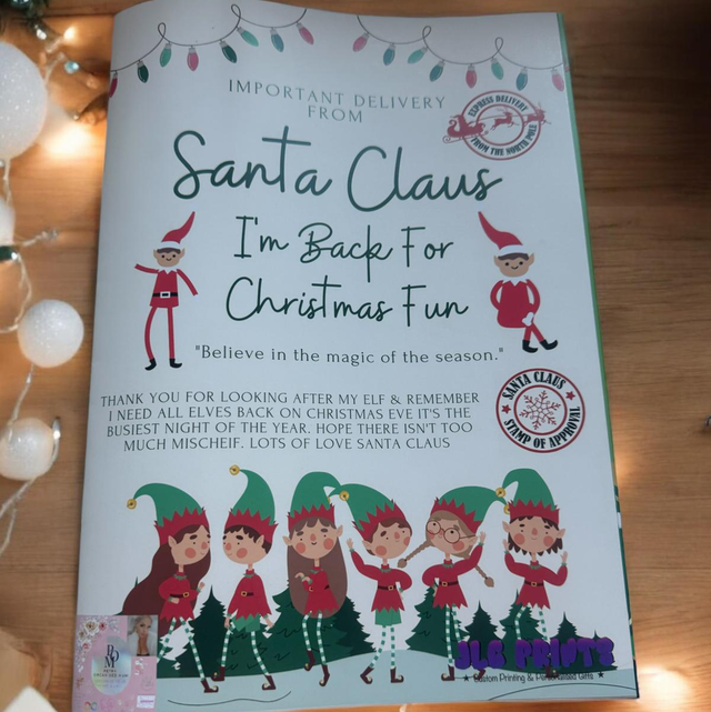 POM Elf activity plan