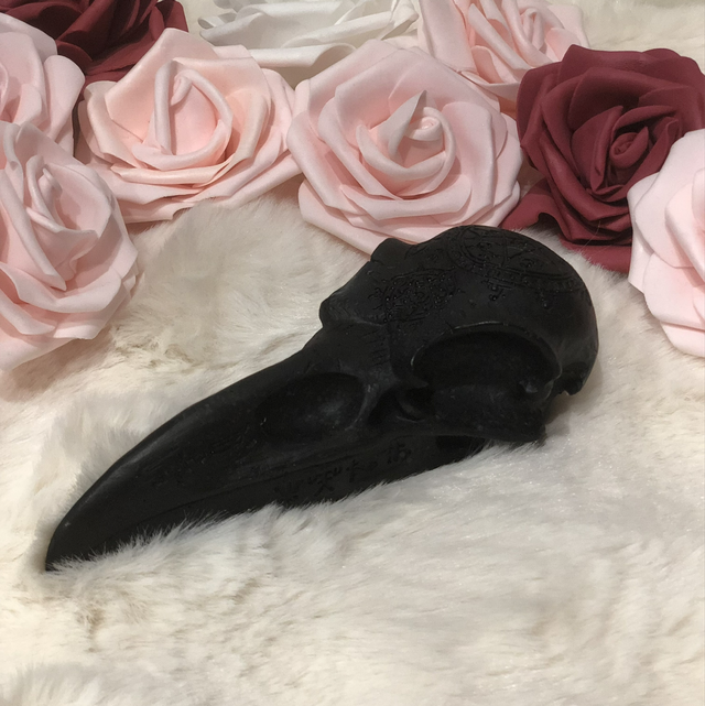 Crâne de corbeau 🐦‍⬛ 