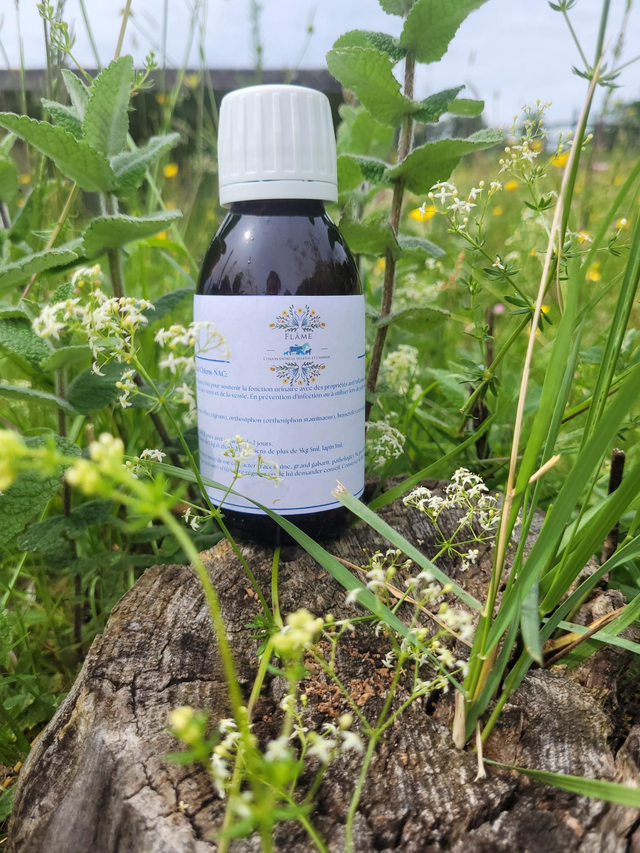 Urisoin Chats/Chiens/NAC