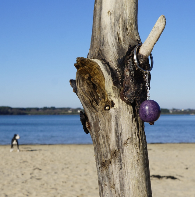 Graine Violette