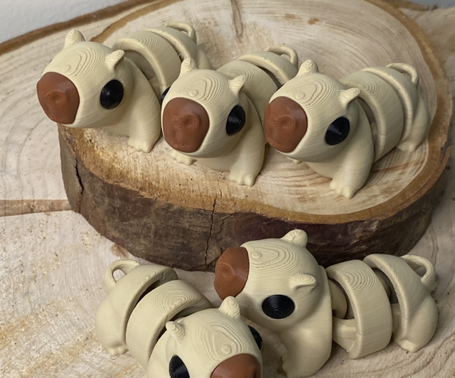 Capivara
