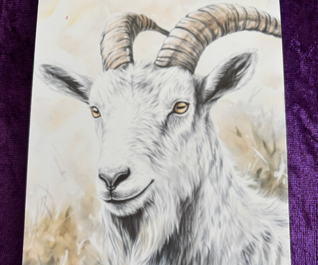 Plain Note Pad Goat white/grey