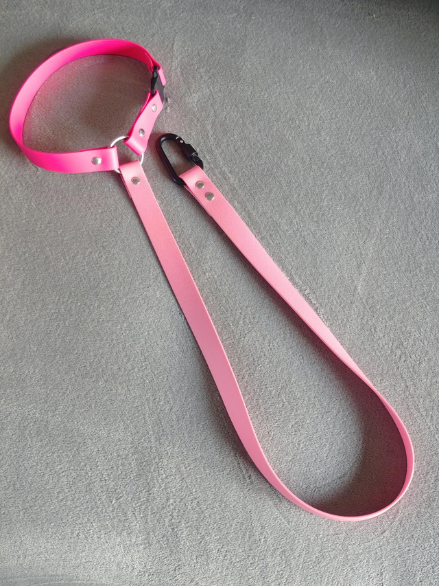 Ceinture Voiture Biothane (BETA) Appuie tête !