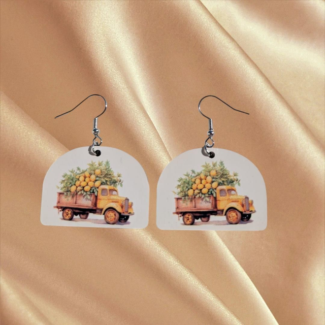 N°74 Boucles d'oreilles fantaisie hypoallergénique 