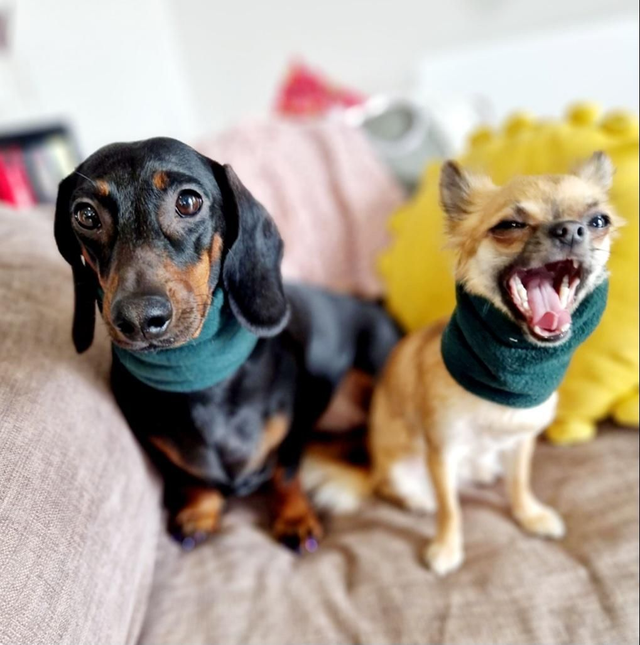 Handmade fleece snood