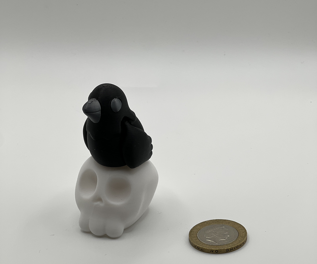 Crow and skull 
