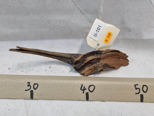 Racine Mangrove B-101