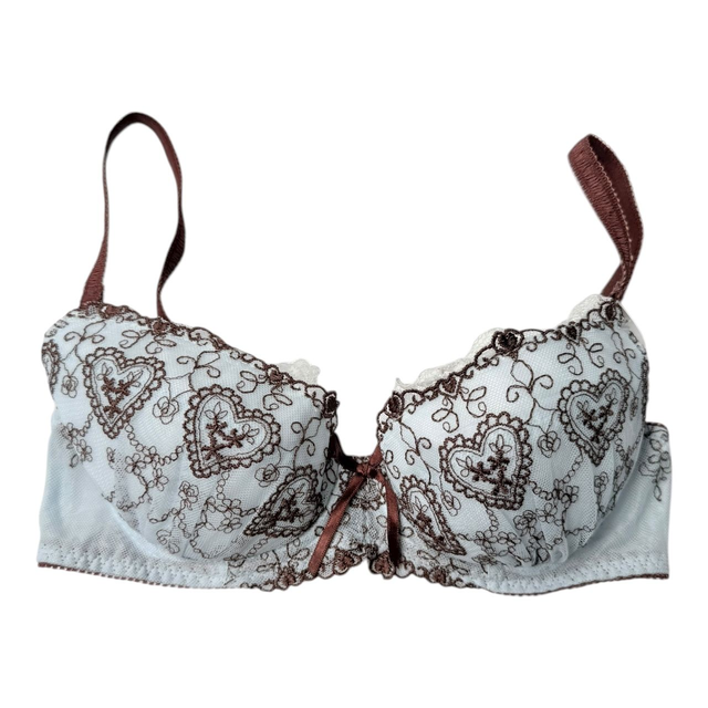 Blue + brown regal embroidered Japanese Bra UK 30C  