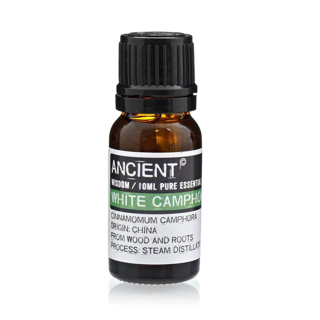 White Camphor Essential Oil 10ml Ancient Wisdom