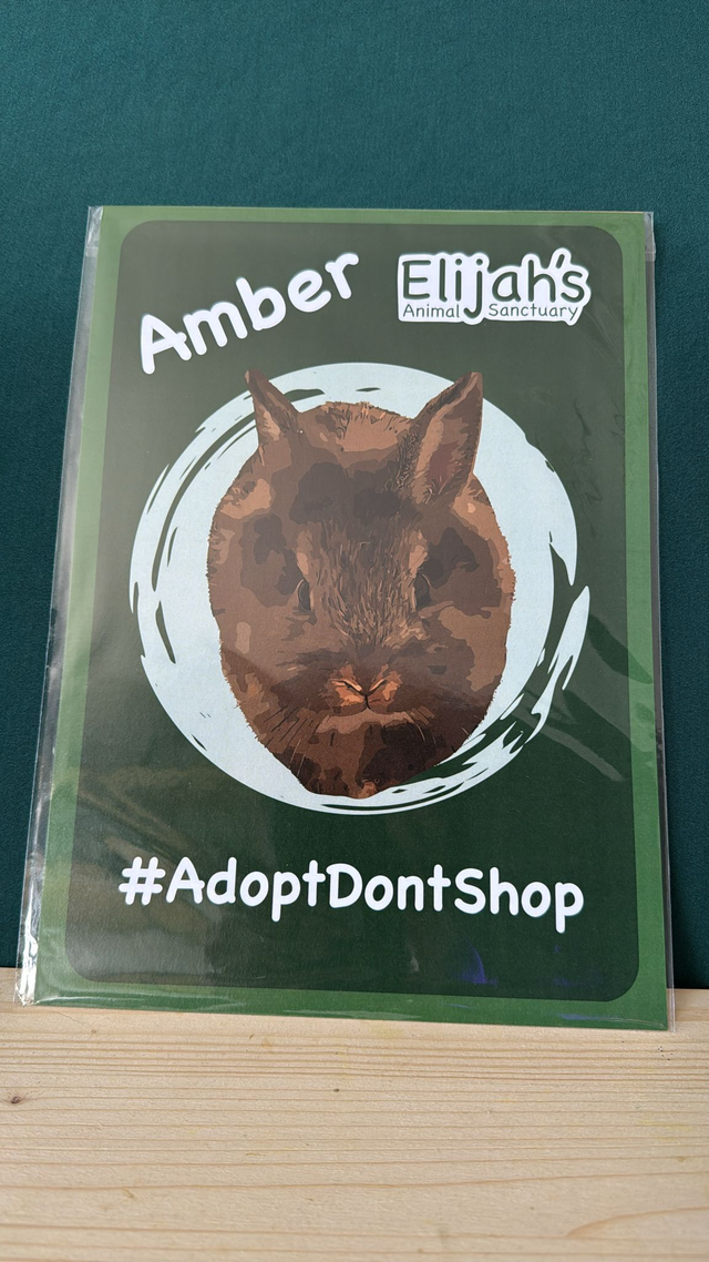 Amber Poster