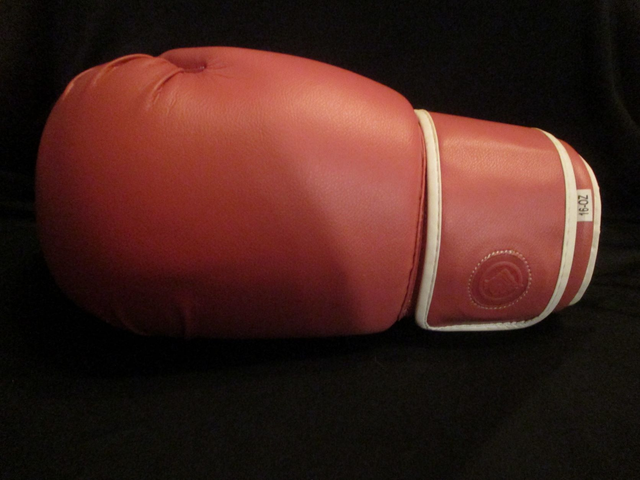 Pink Boxing Glove Left PRE-ORDER Signed By 1 Boxer