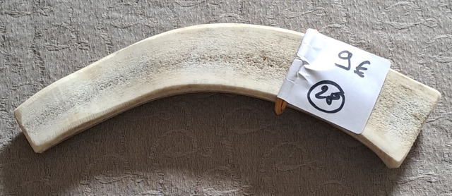 N°28 Bois de Cerf Tranché 