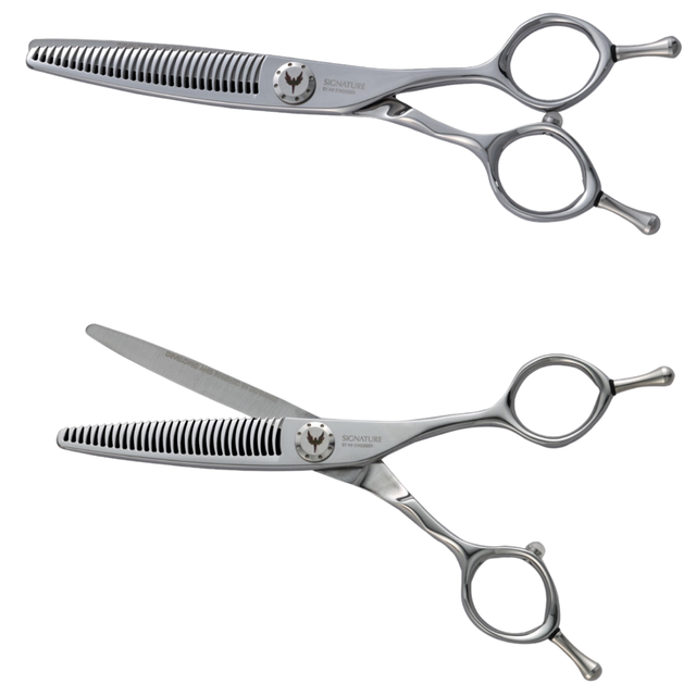 ALLIANCE 30 - die Verbündete