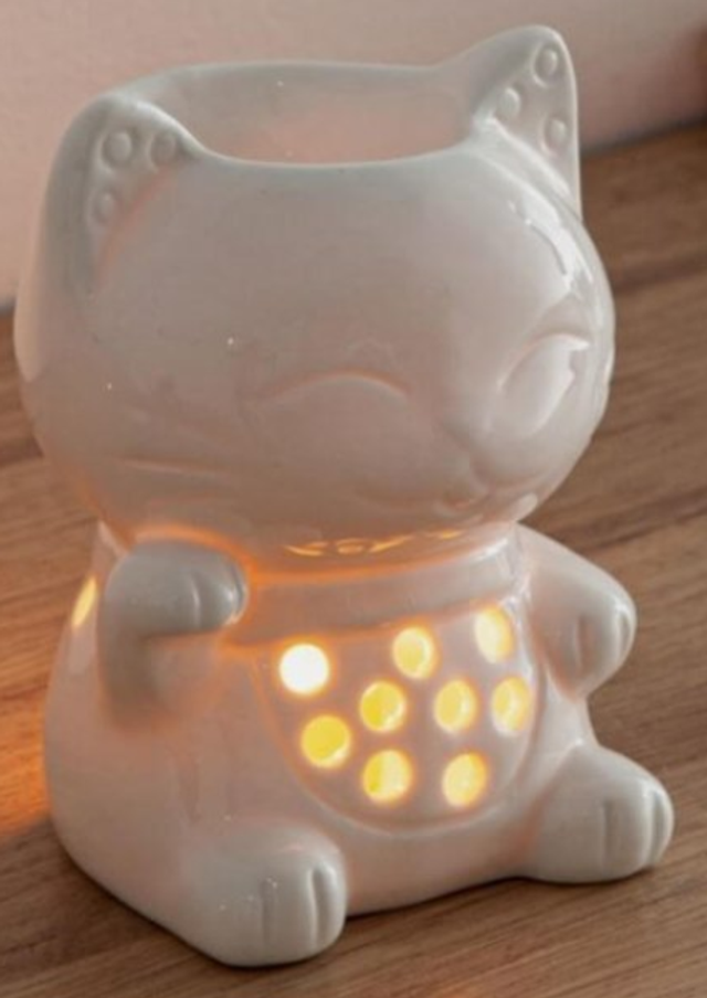 Bruleur Fondant Chat Souriant