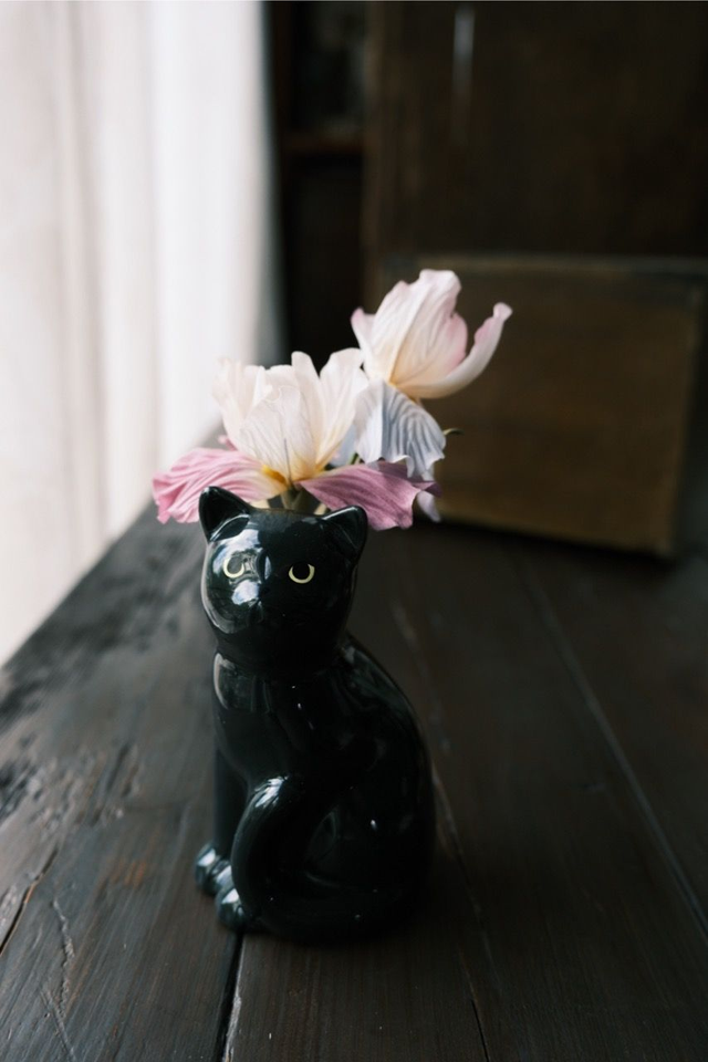 Iris in cat vase