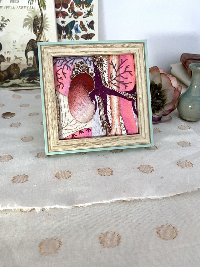 Fragment anatomique du rein bordeaux et rose fluo