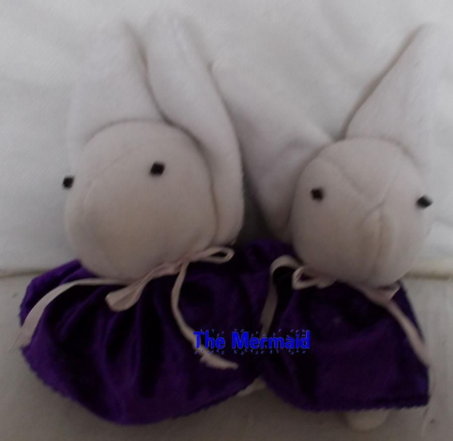 Konijn-haarspeldjes (Pita Ten)