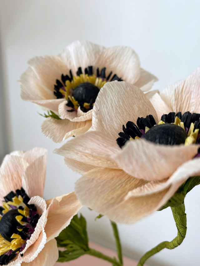 Anémone "Selma" avec son vase artisanal offert