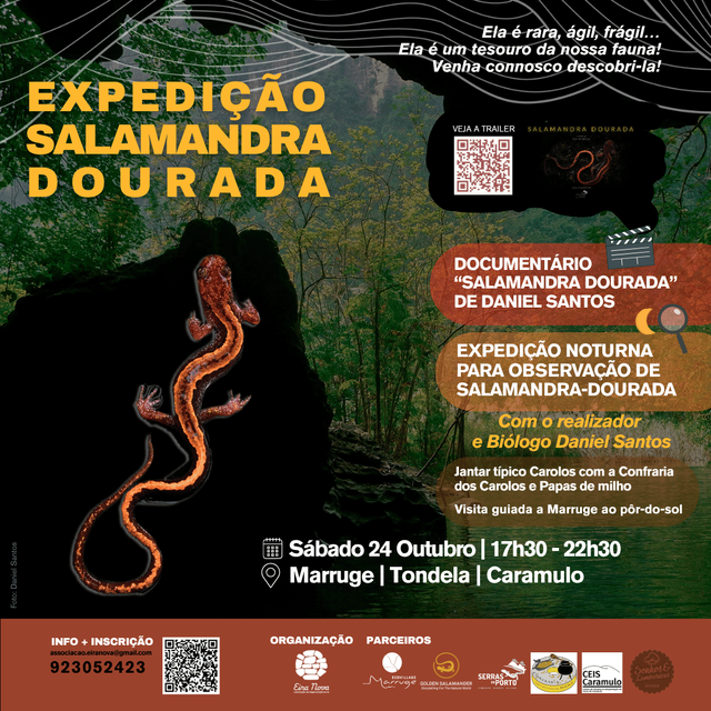 24/10 EXPEDIÇÃO SALAMANDRA DOURADA