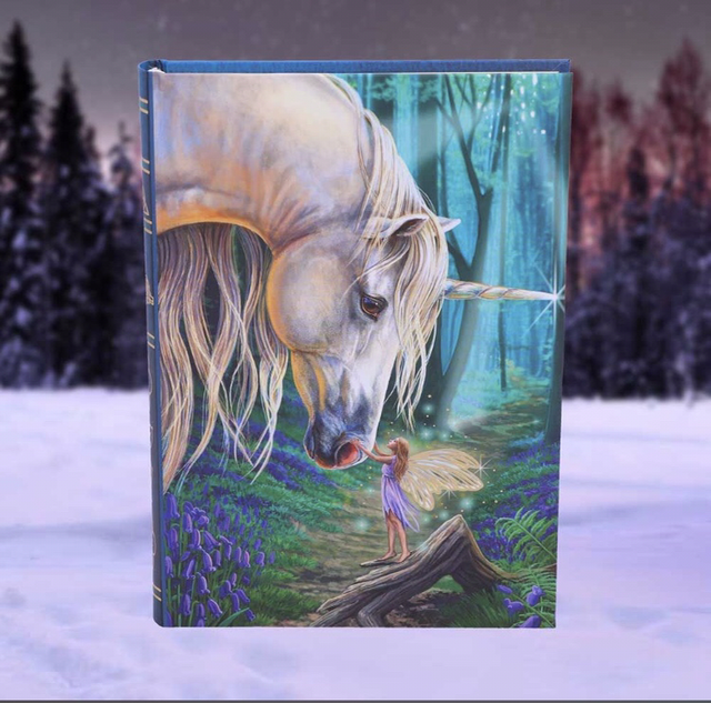 Lisa Parker Fairy Whispers Journal 17cm