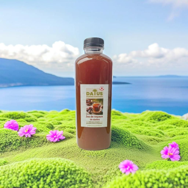 DATUS boisson fraîche 1l (Pack de 6), La boisson naturelle qui accompagne votre quotidien actif