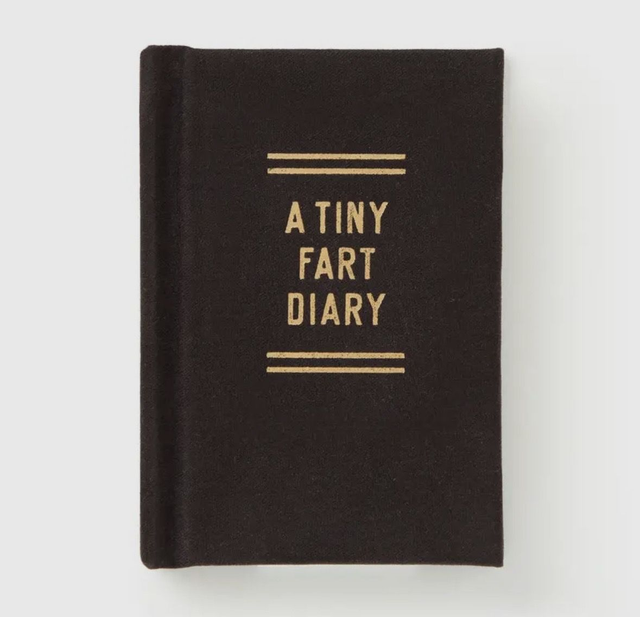 A tiny fart Diary