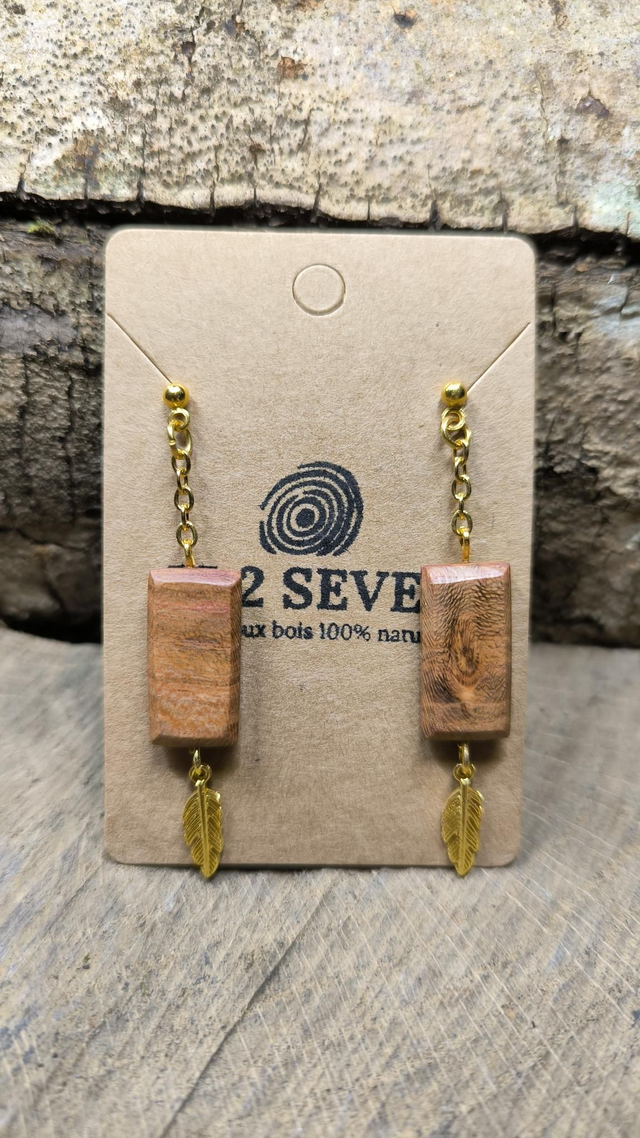 Mirabellier - 240268