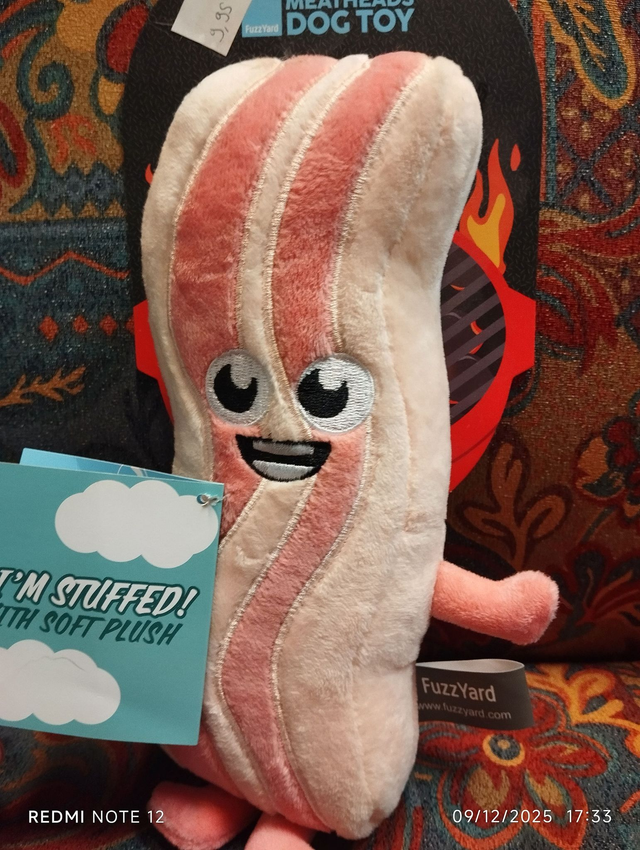 kevin le bacon strip