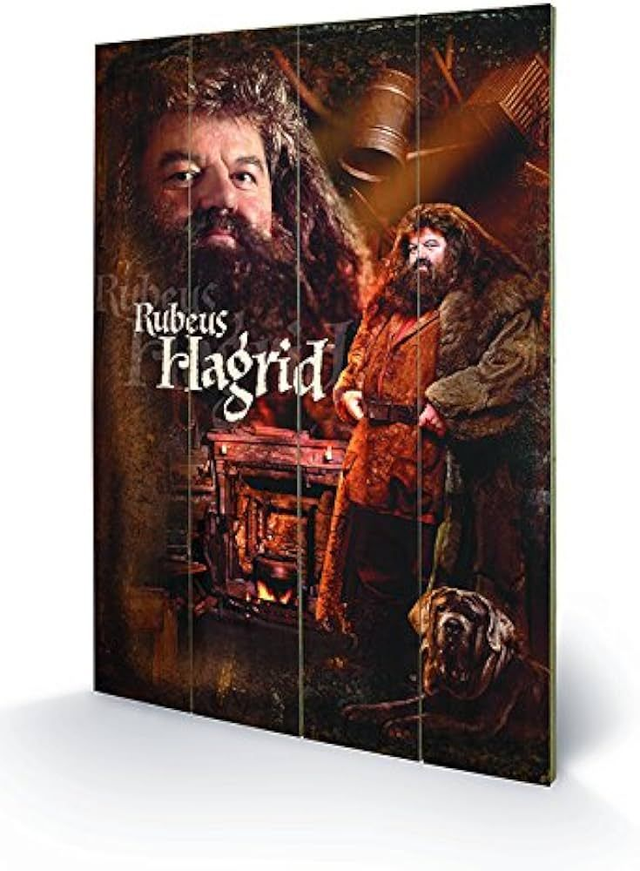 Grand tableau imprimé sur bois Rubeus Hagrid - Harry Potter