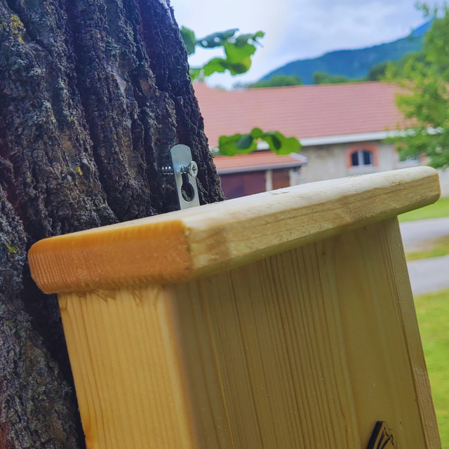 Gîte à chauve-souris 🦇