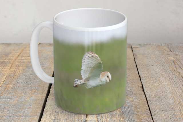 “Barn Owl in Flight” Mug 