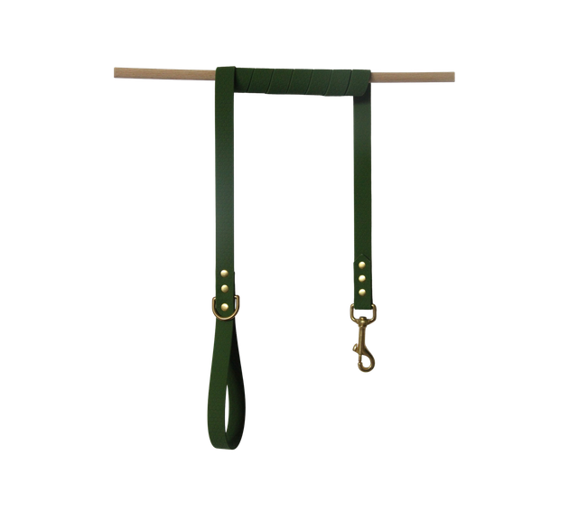 Laisse simple HEXA - Olive 