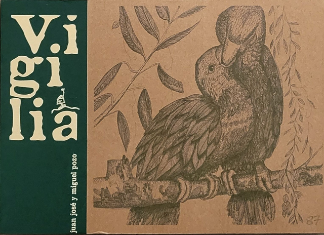 Vigilia: Poesía e ilustraciones - Juan José Pozo Prado