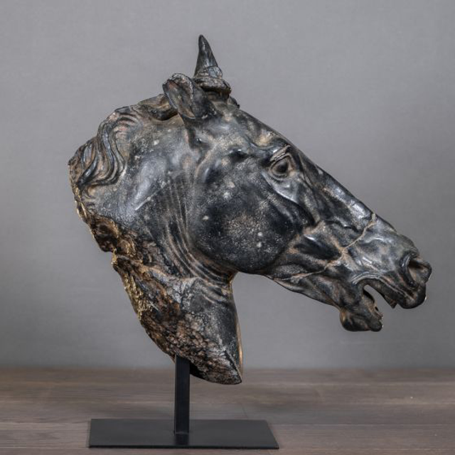 Petit cheval de selene